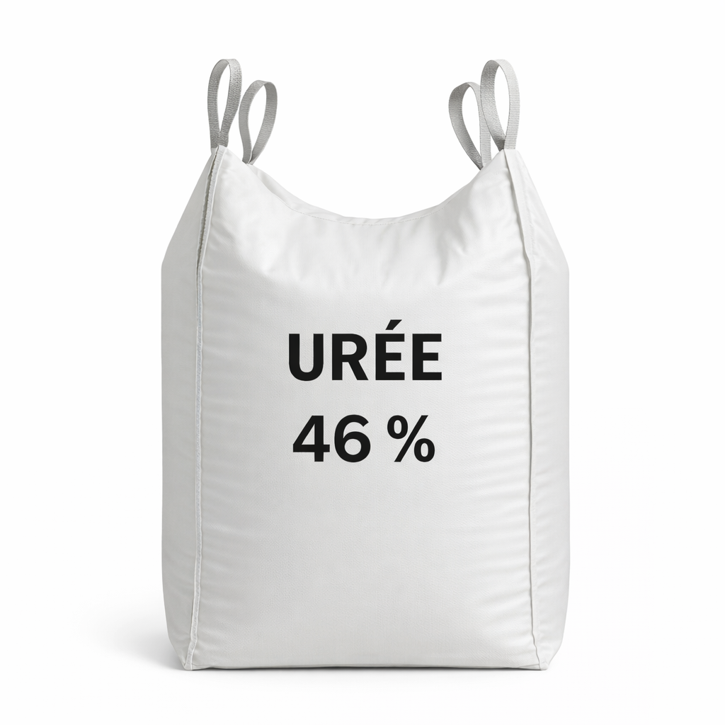 Description alternative par défaut