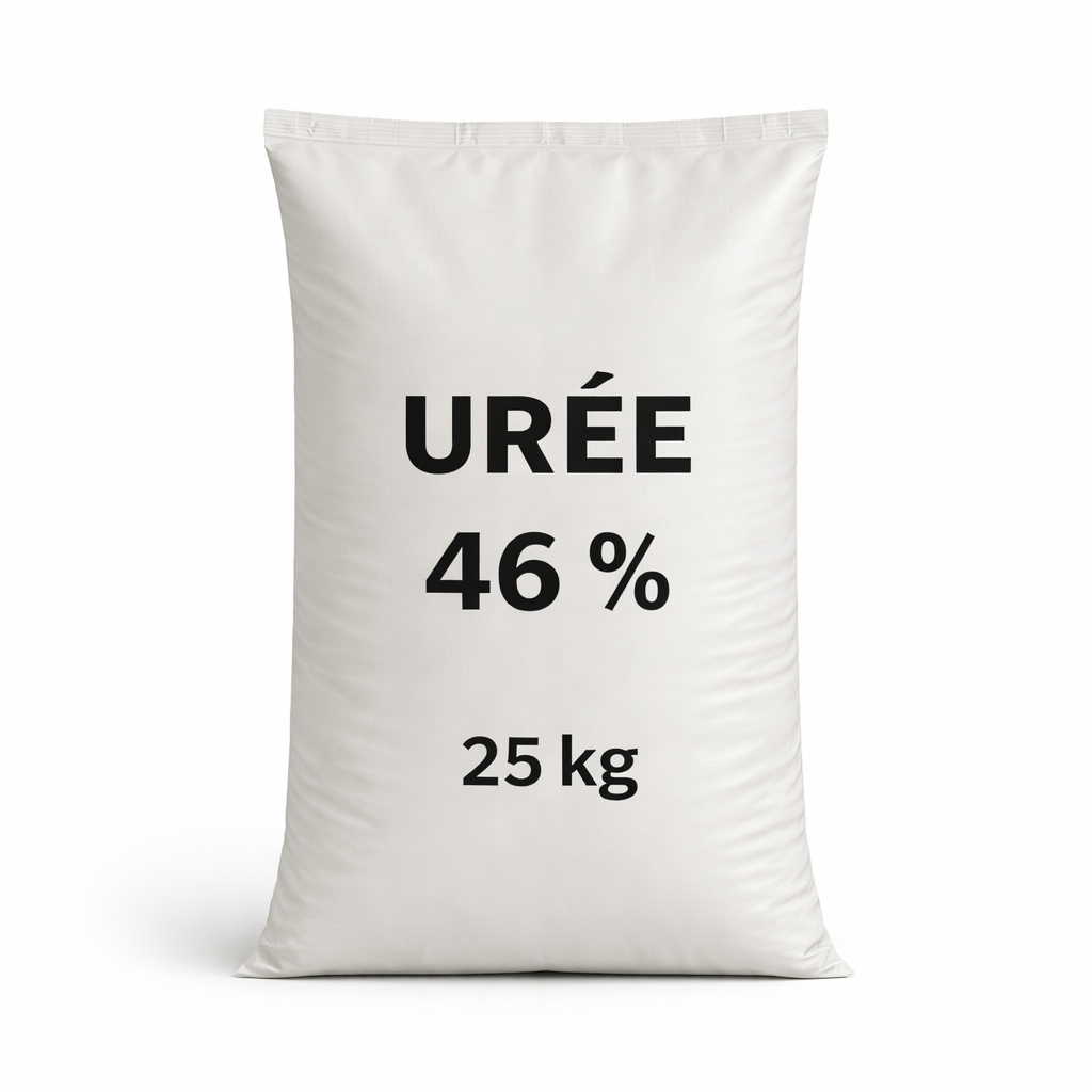 Description alternative par défaut