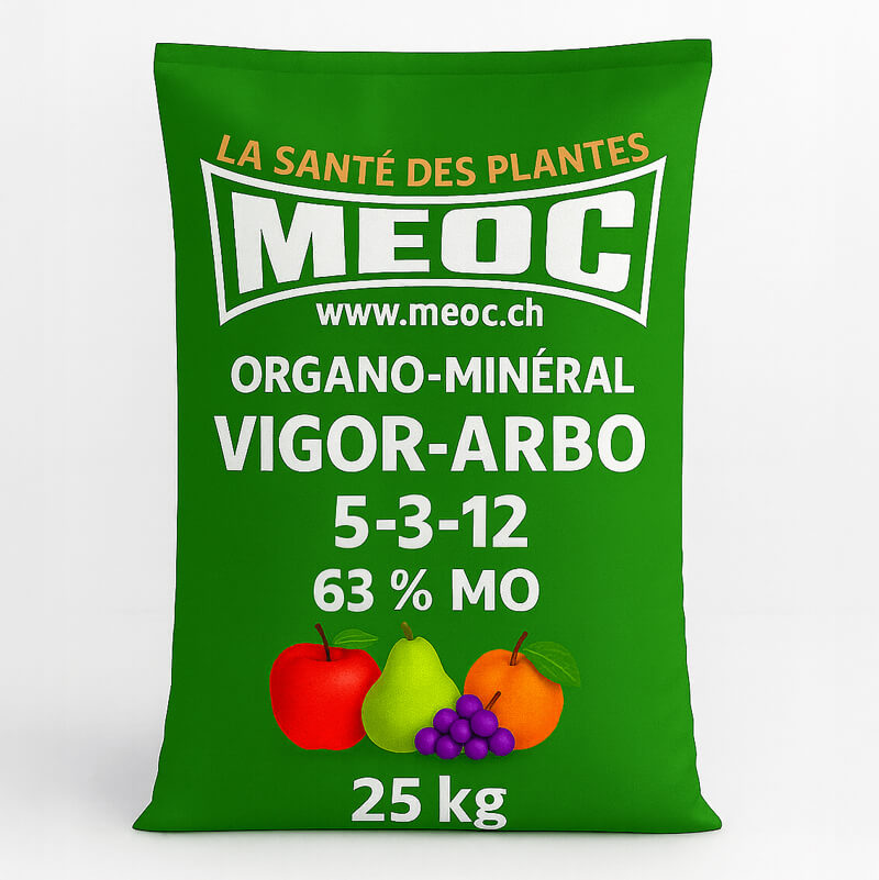 Description alternative par défaut