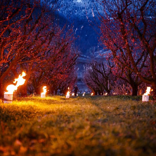 Description alternative par défaut