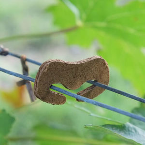 Description alternative par défaut