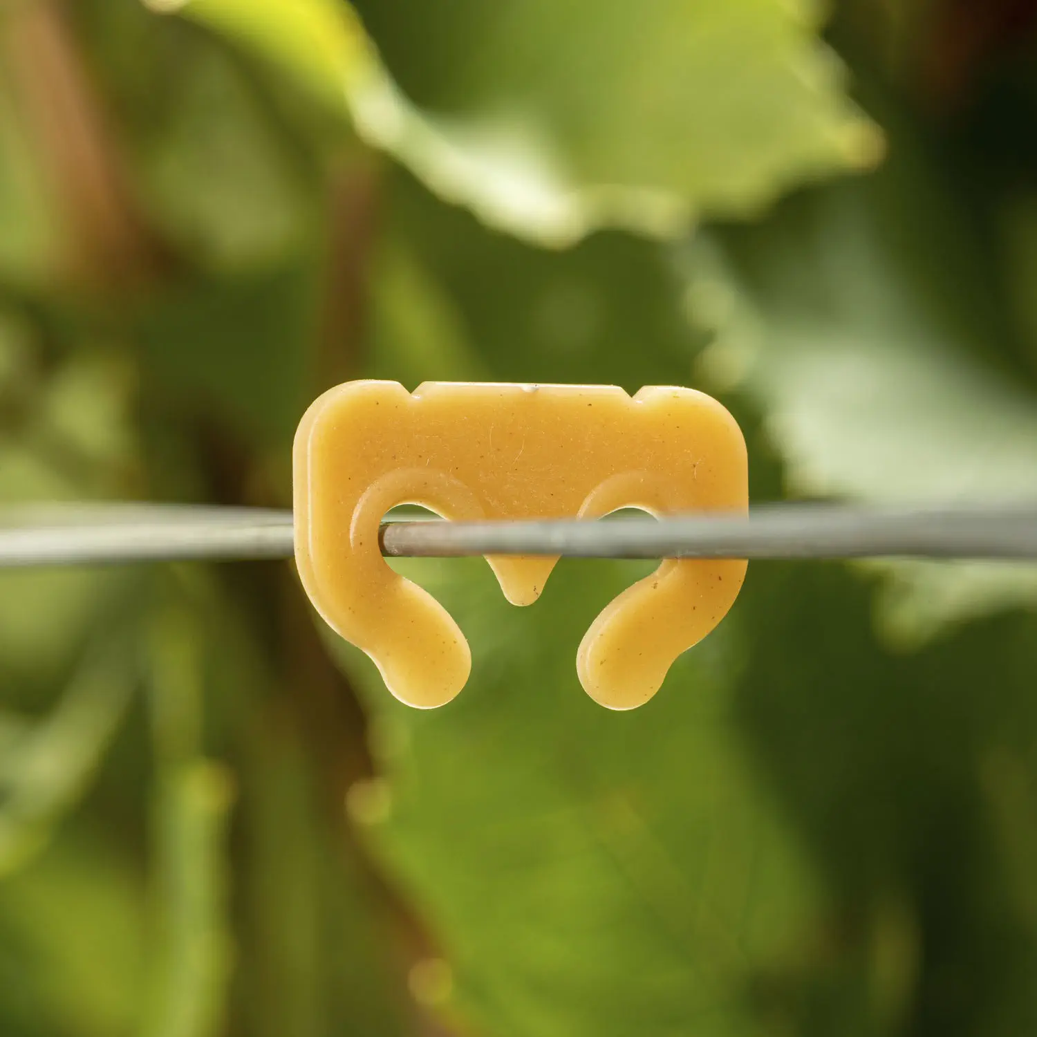 Description alternative par défaut