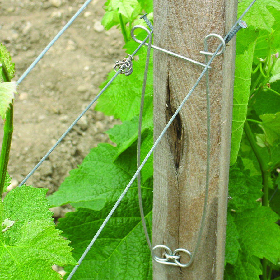 Description alternative par défaut