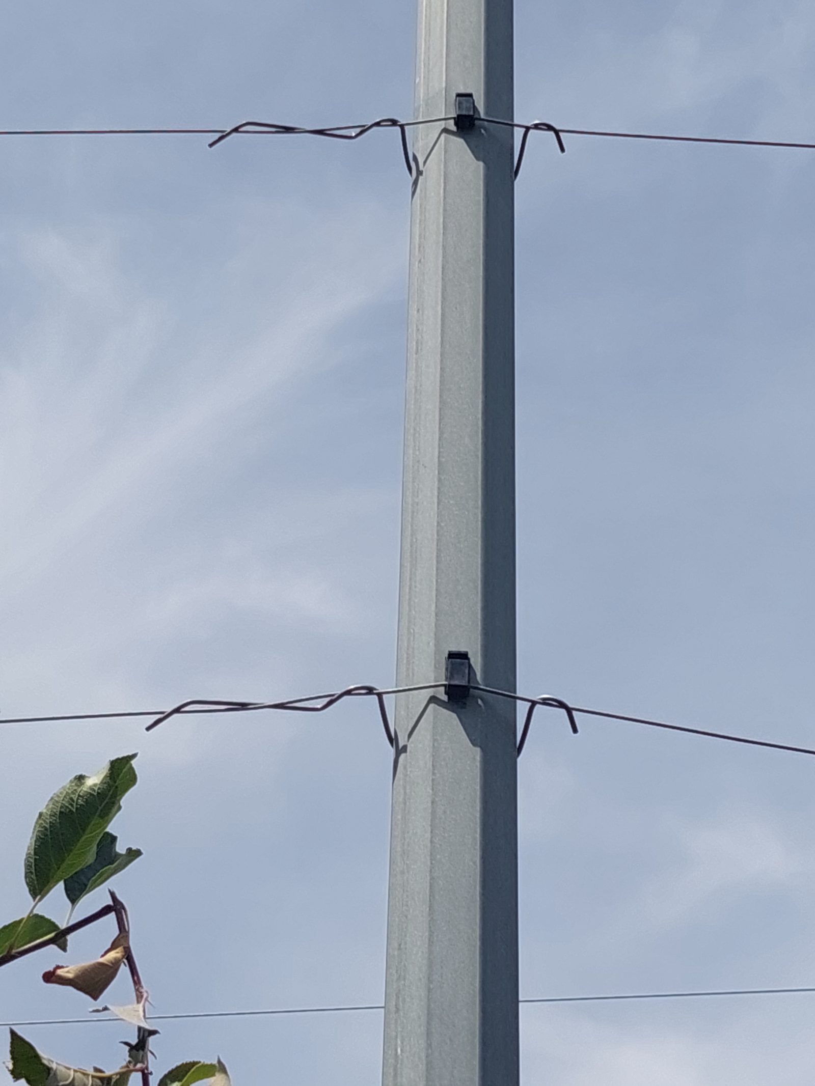 Description alternative par défaut