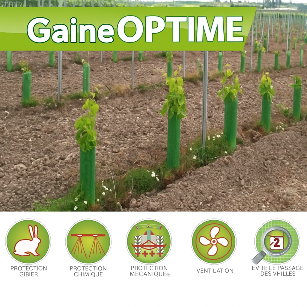 Description alternative par défaut