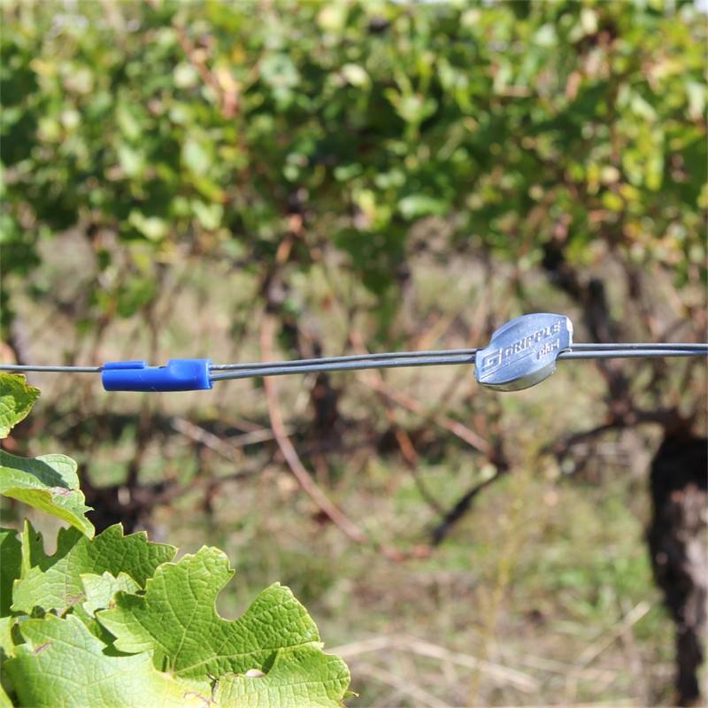 Description alternative par défaut