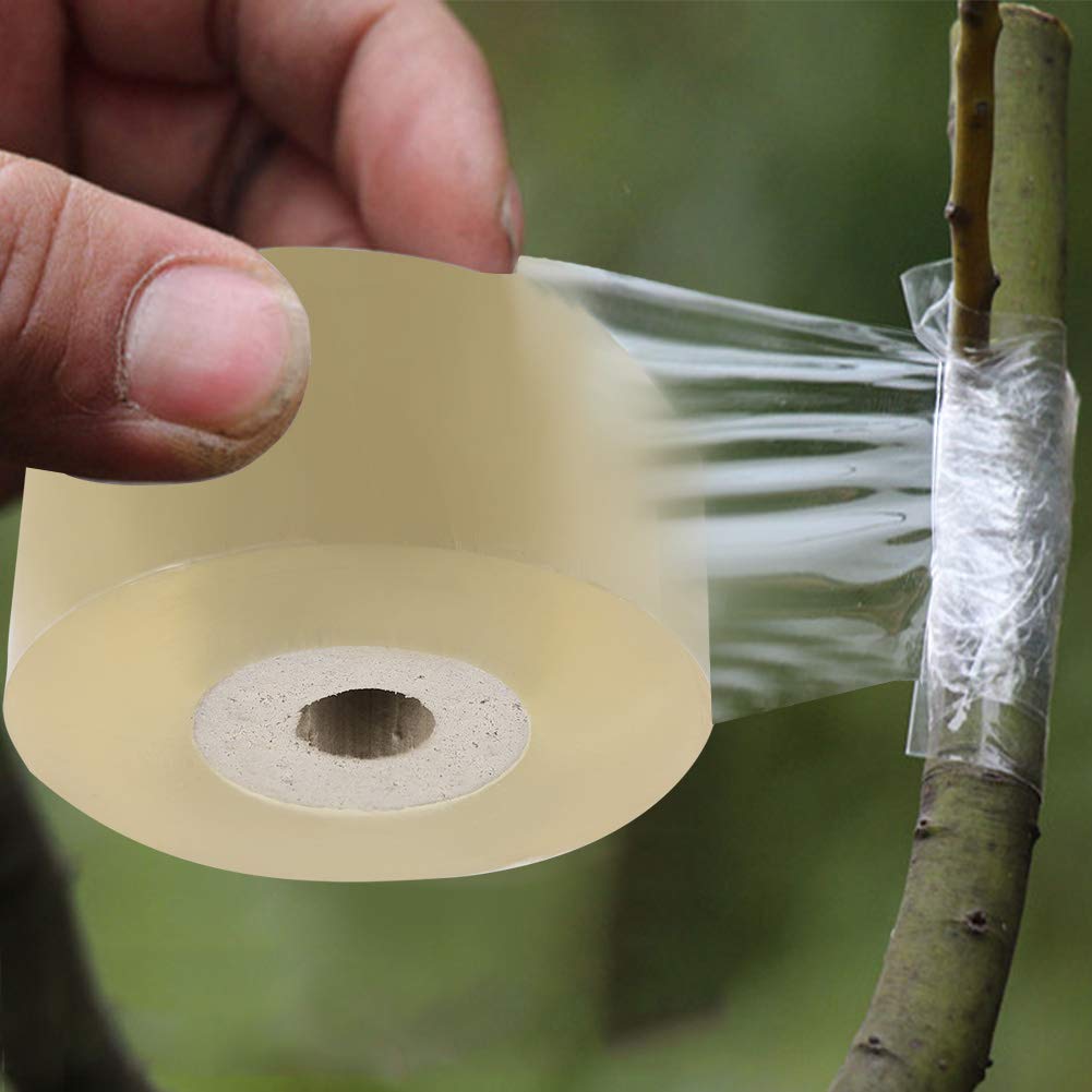 Description alternative par défaut