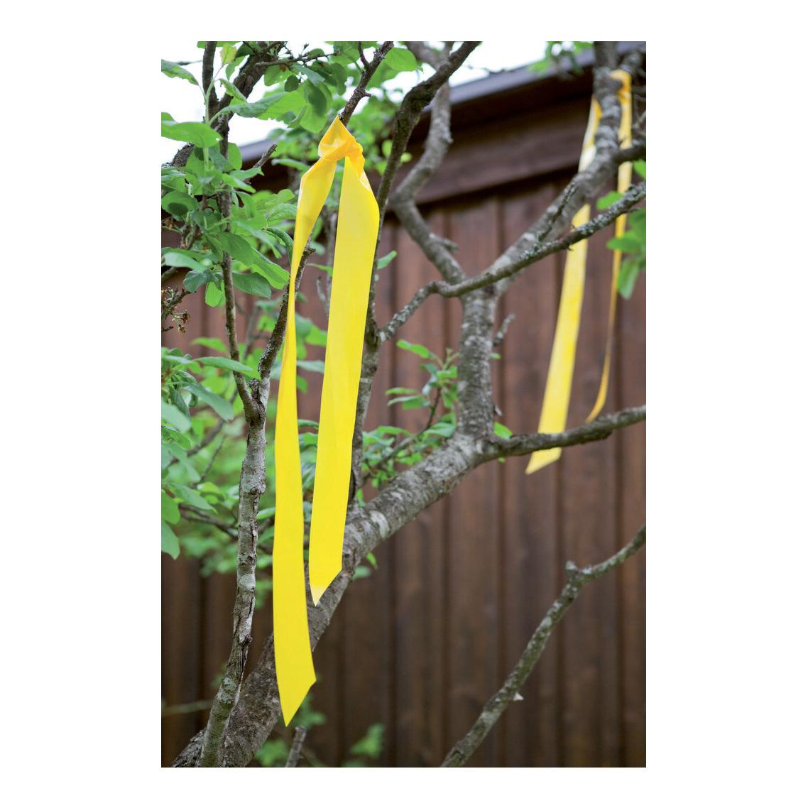 Description alternative par défaut