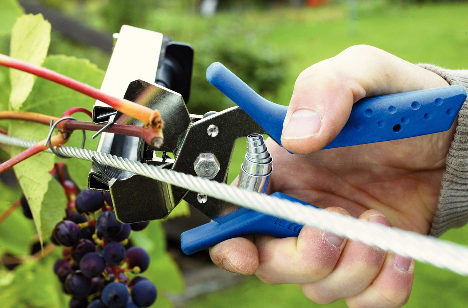 Description alternative par défaut