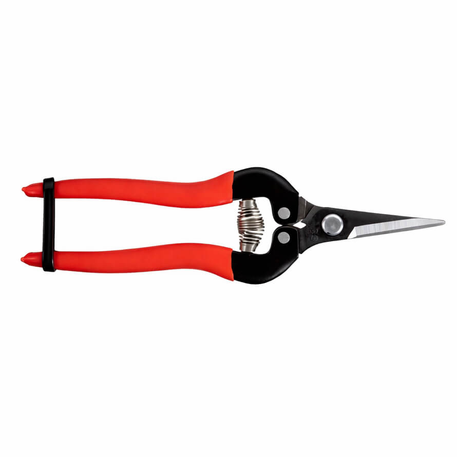 Description alternative par défaut