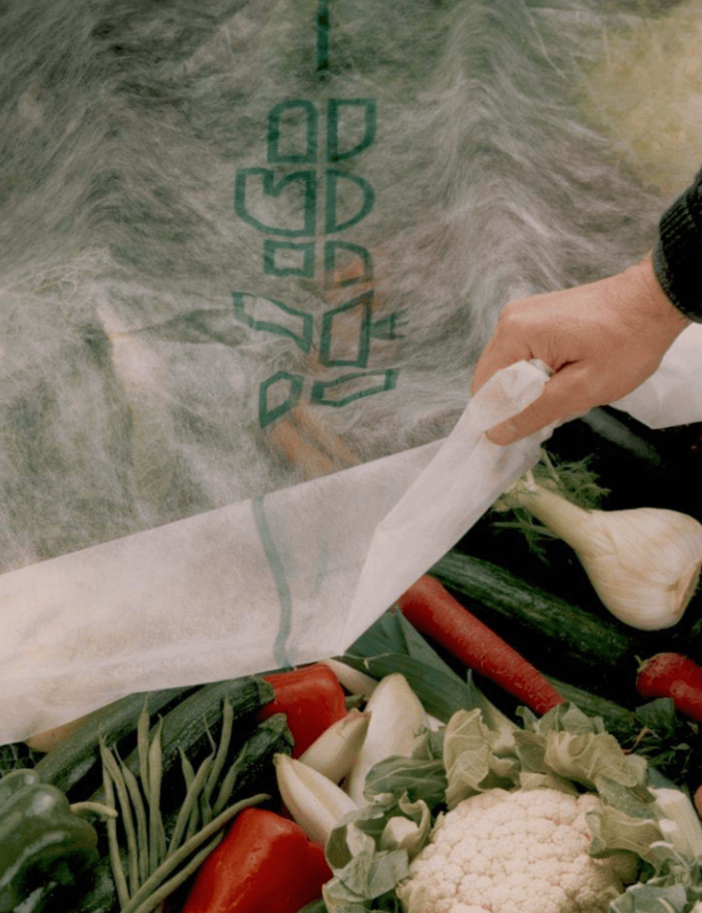 Description alternative par défaut