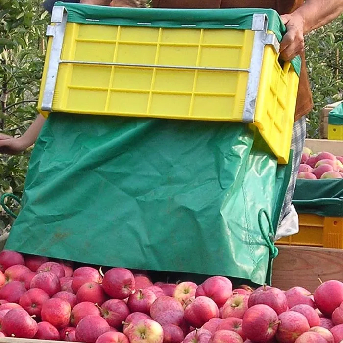 Description alternative par défaut