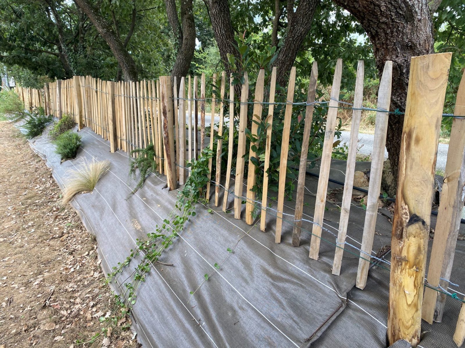 Description alternative par défaut