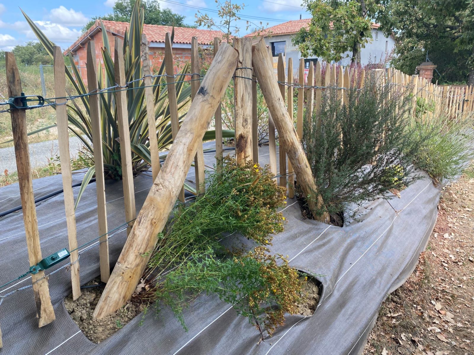 Description alternative par défaut