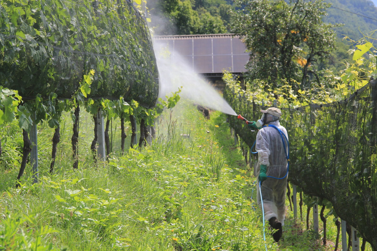 Description alternative par défaut