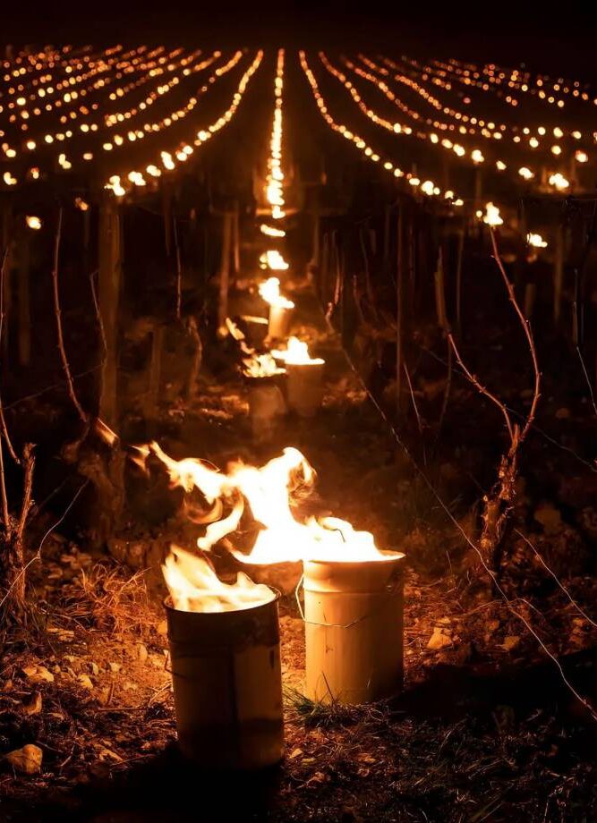 Description alternative par défaut