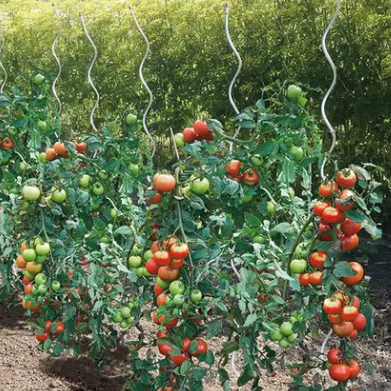 Description alternative par défaut