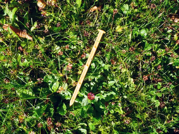 Description alternative par défaut