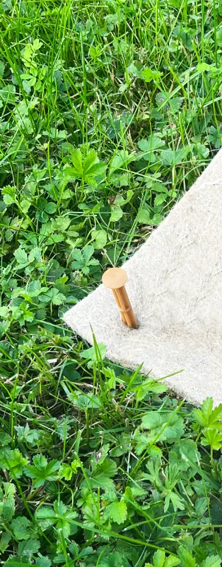 Description alternative par défaut