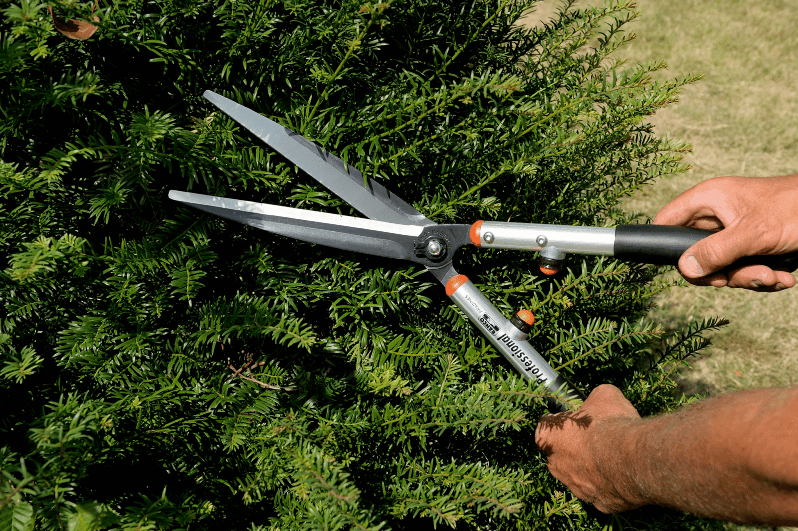 Description alternative par défaut