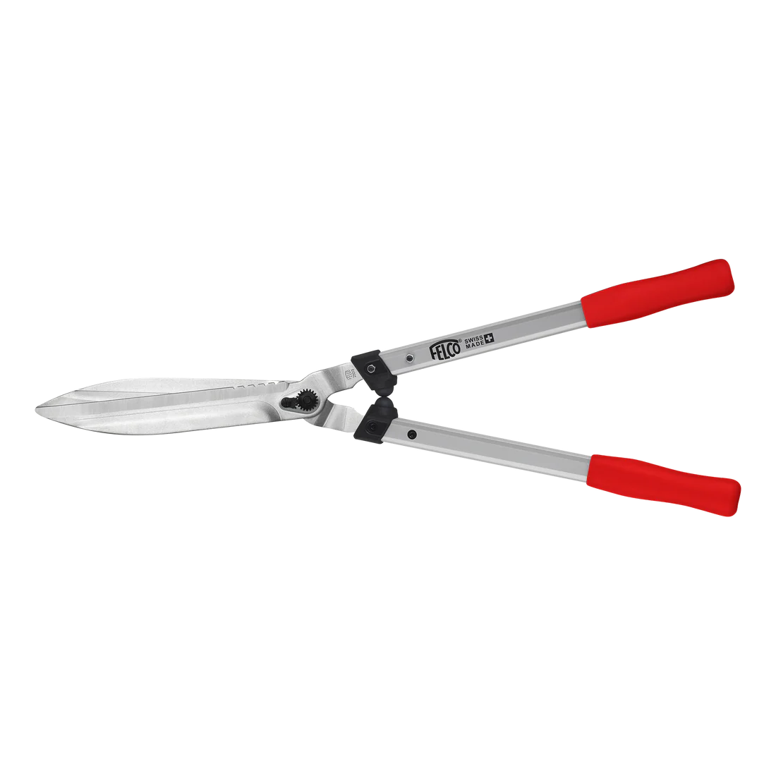 Description alternative par défaut