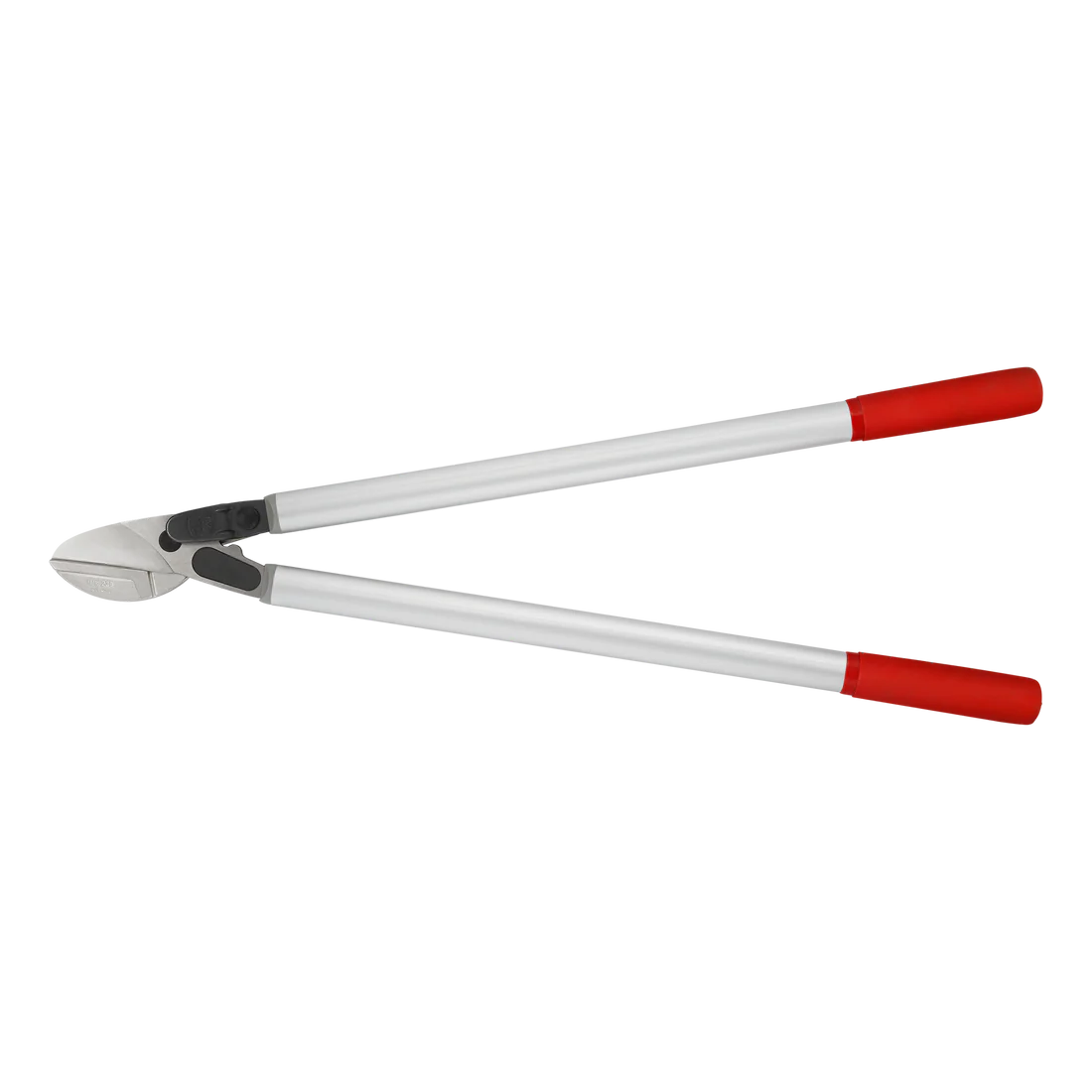 Description alternative par défaut