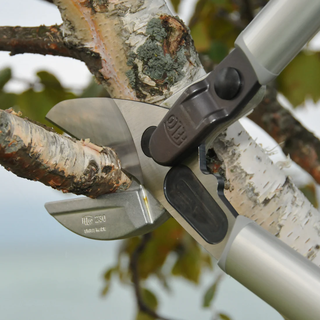 Description alternative par défaut