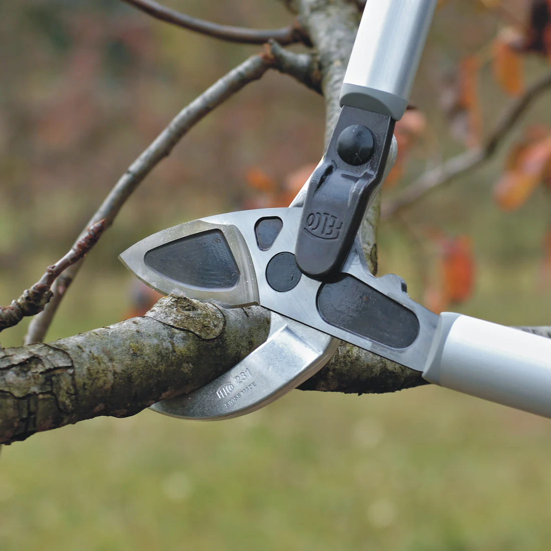 Description alternative par défaut