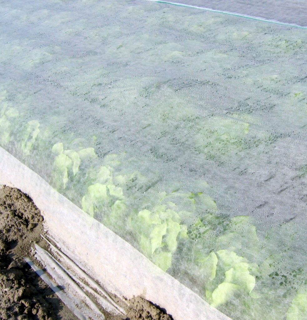 Description alternative par défaut