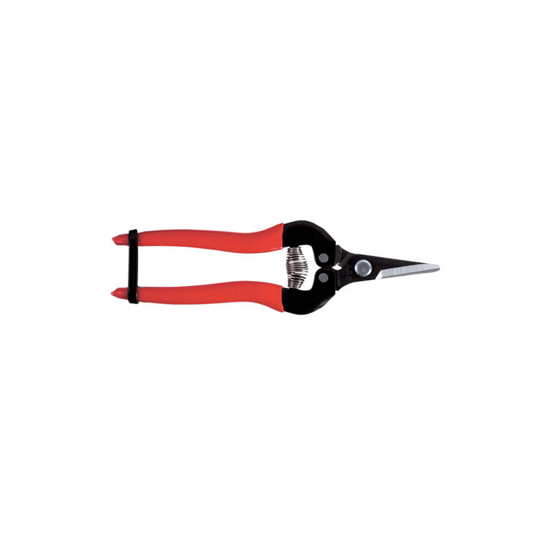 Description alternative par défaut