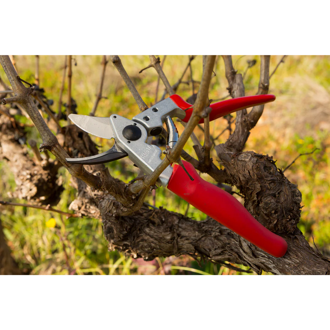 Description alternative par défaut