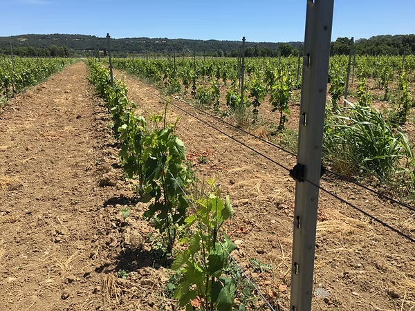 Description alternative par défaut