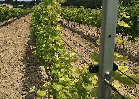 Description alternative par défaut