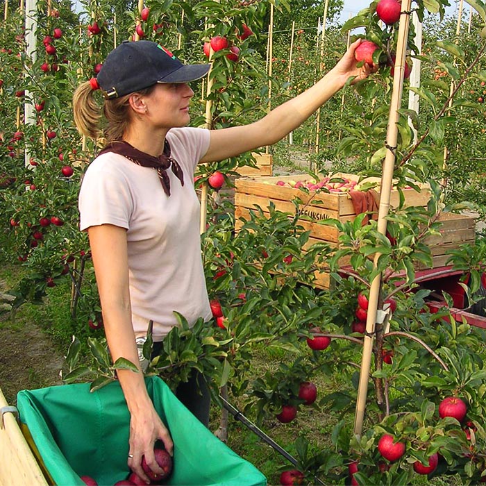 Description alternative par défaut