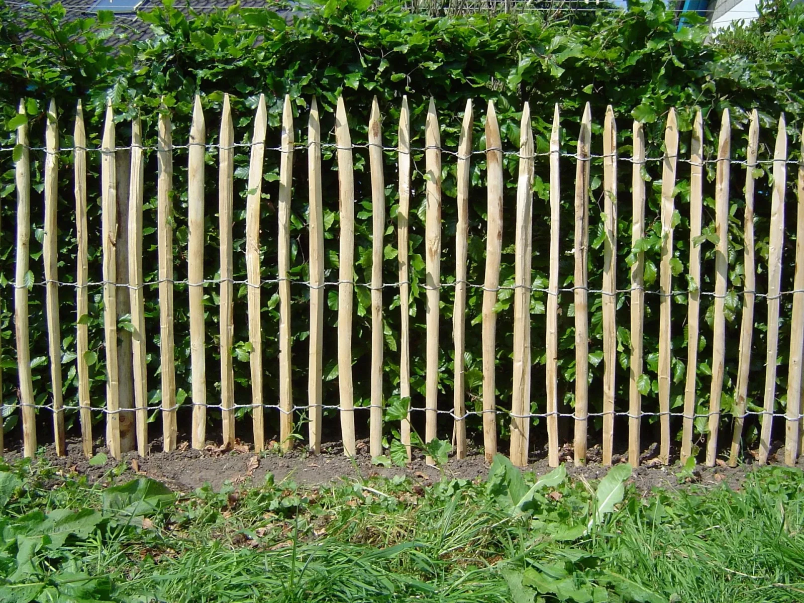 Description alternative par défaut