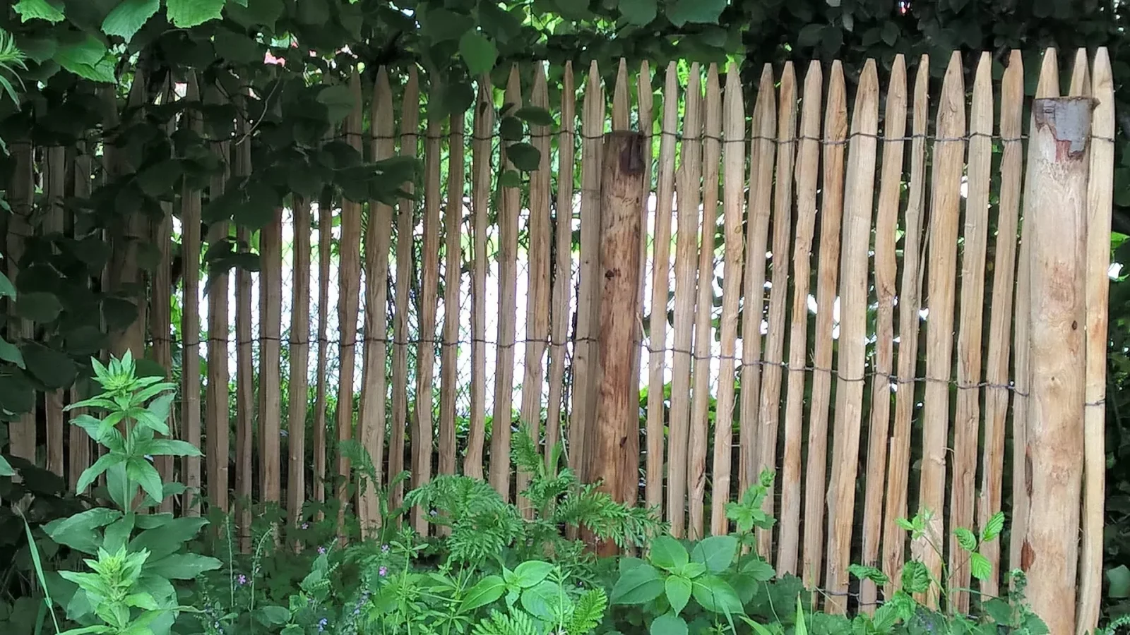 Description alternative par défaut