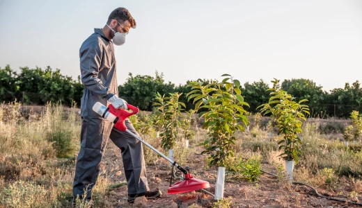 Description alternative par défaut