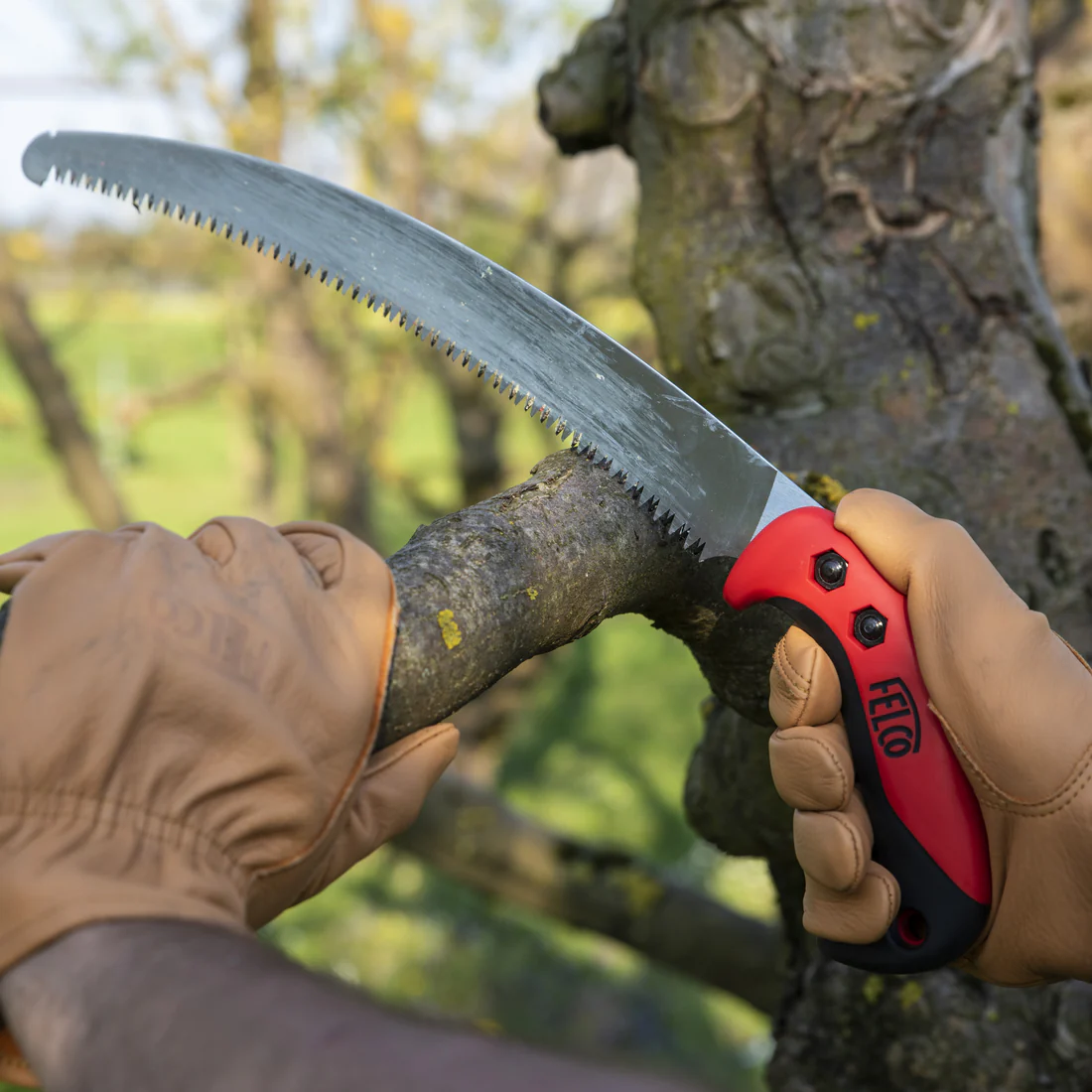 Description alternative par défaut