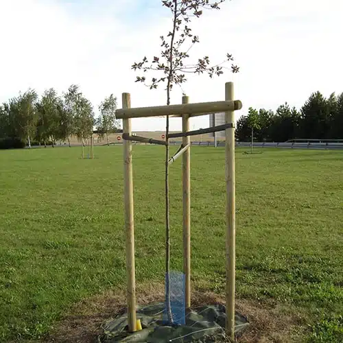 Description alternative par défaut