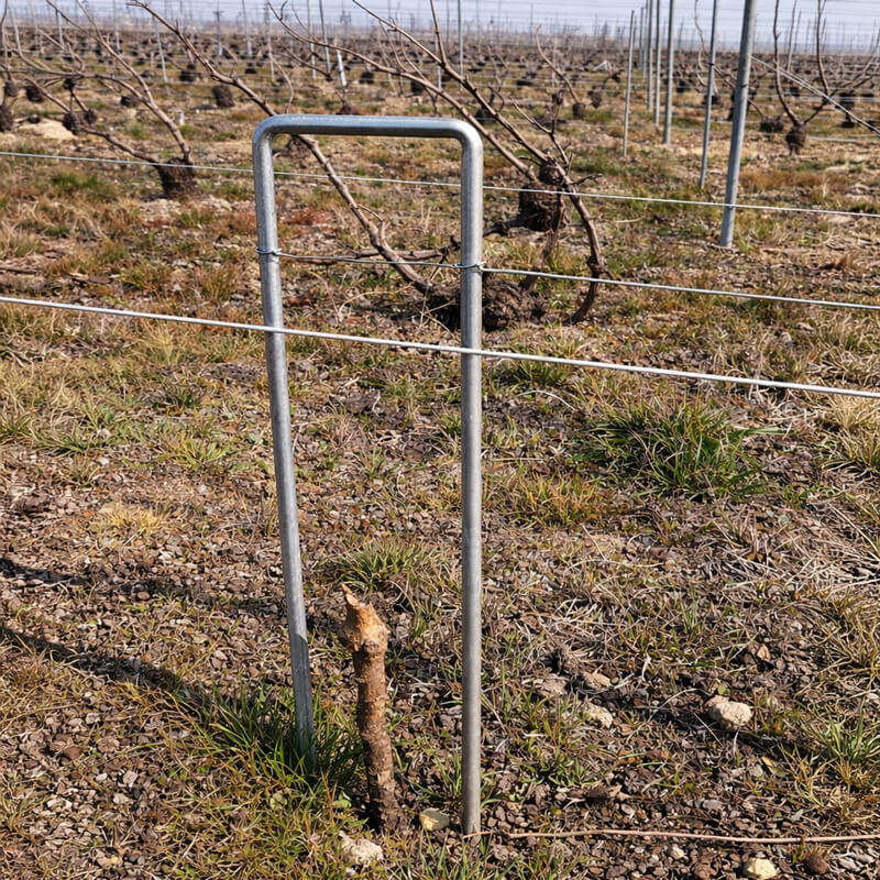 Description alternative par défaut