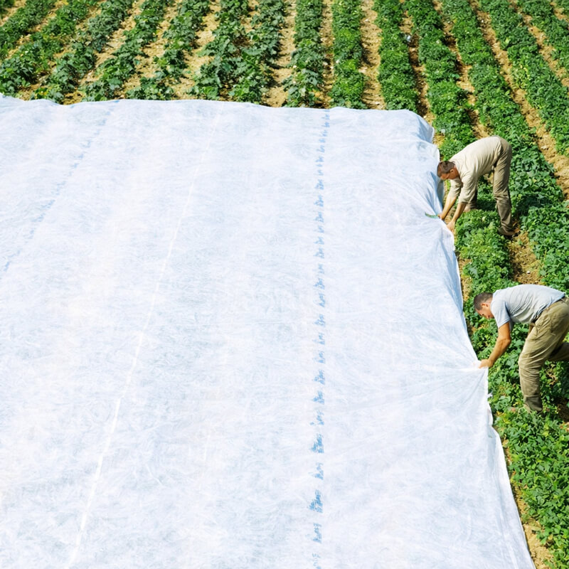 Description alternative par défaut