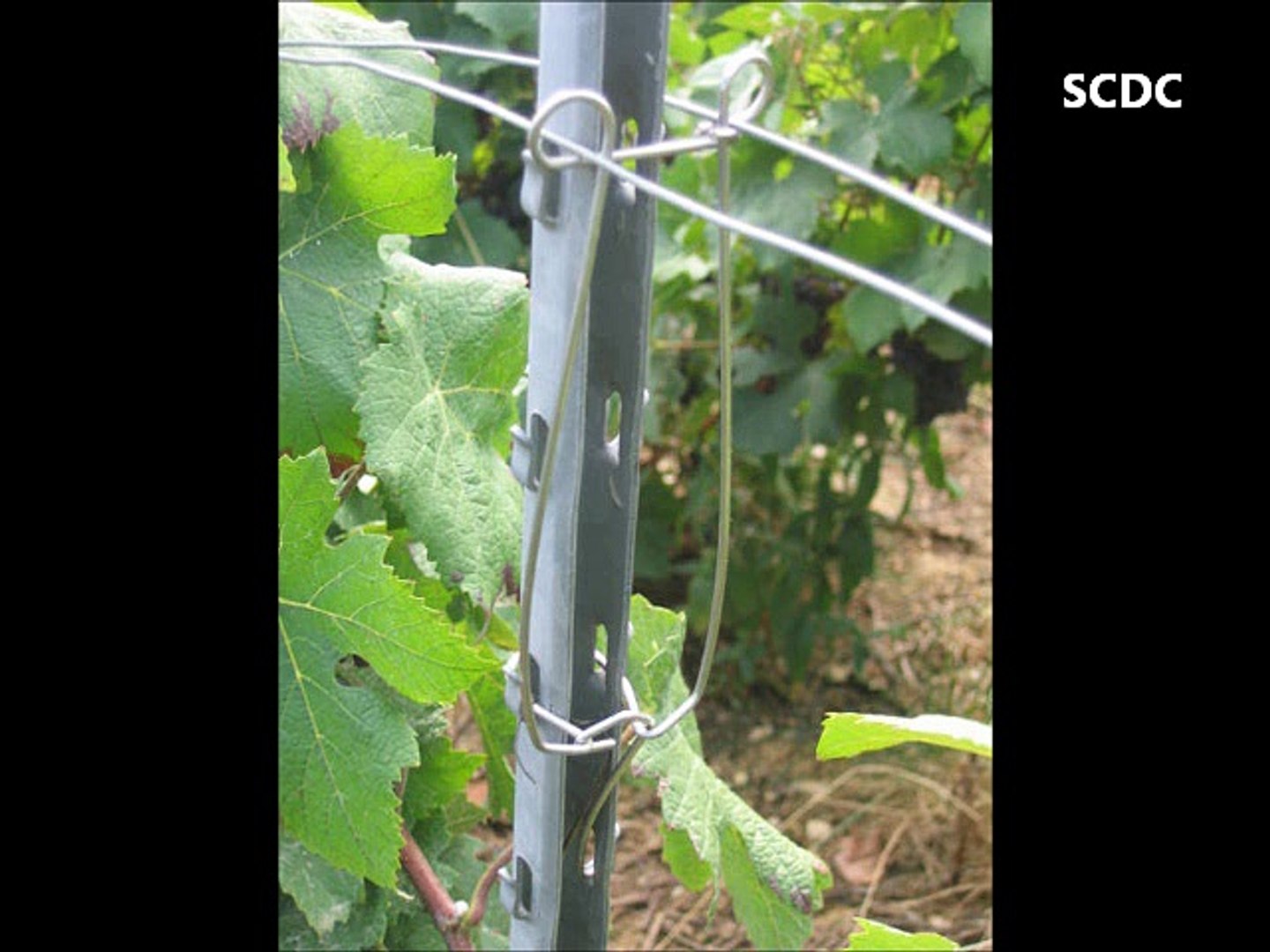 Description alternative par défaut