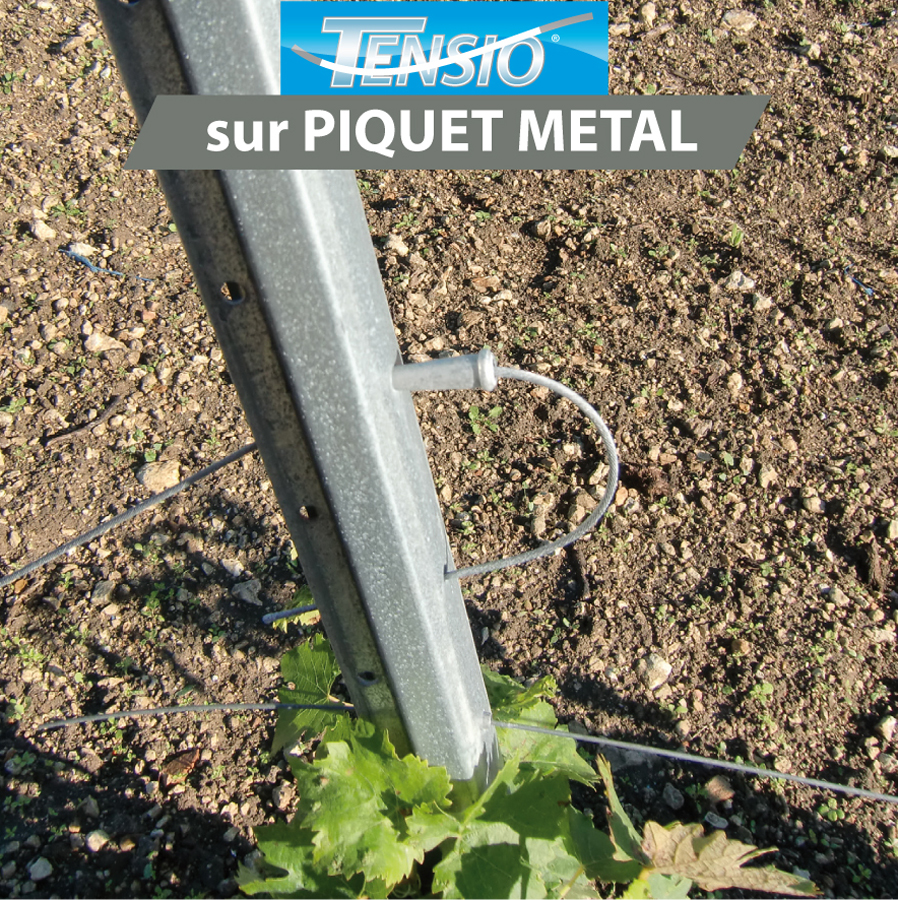 Description alternative par défaut