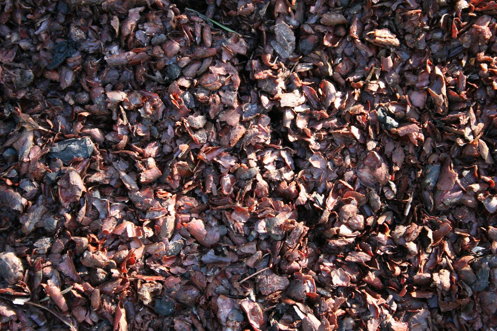 Description alternative par défaut