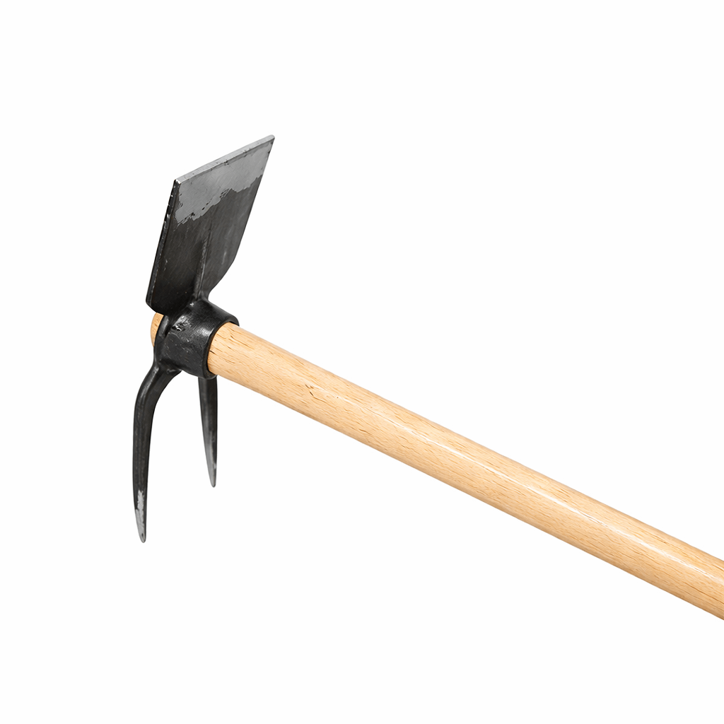 Description alternative par défaut