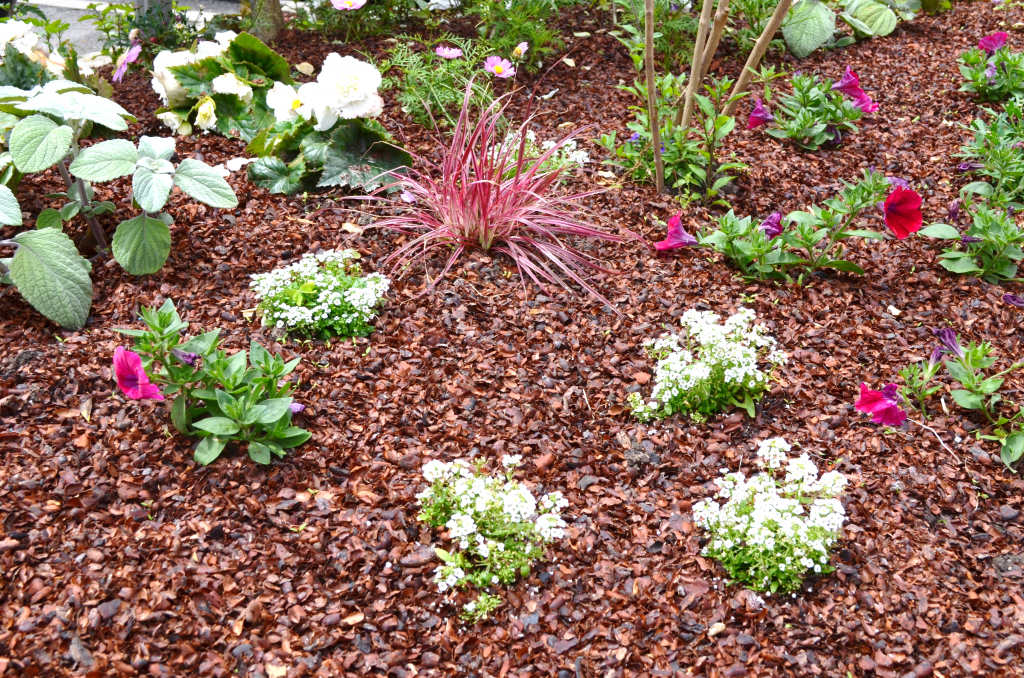 Description alternative par défaut