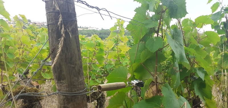 Description alternative par défaut