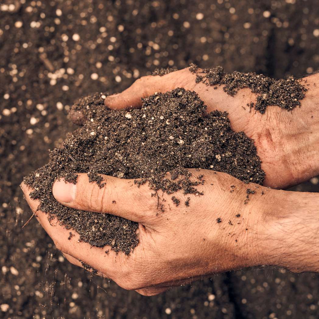 Description alternative par défaut