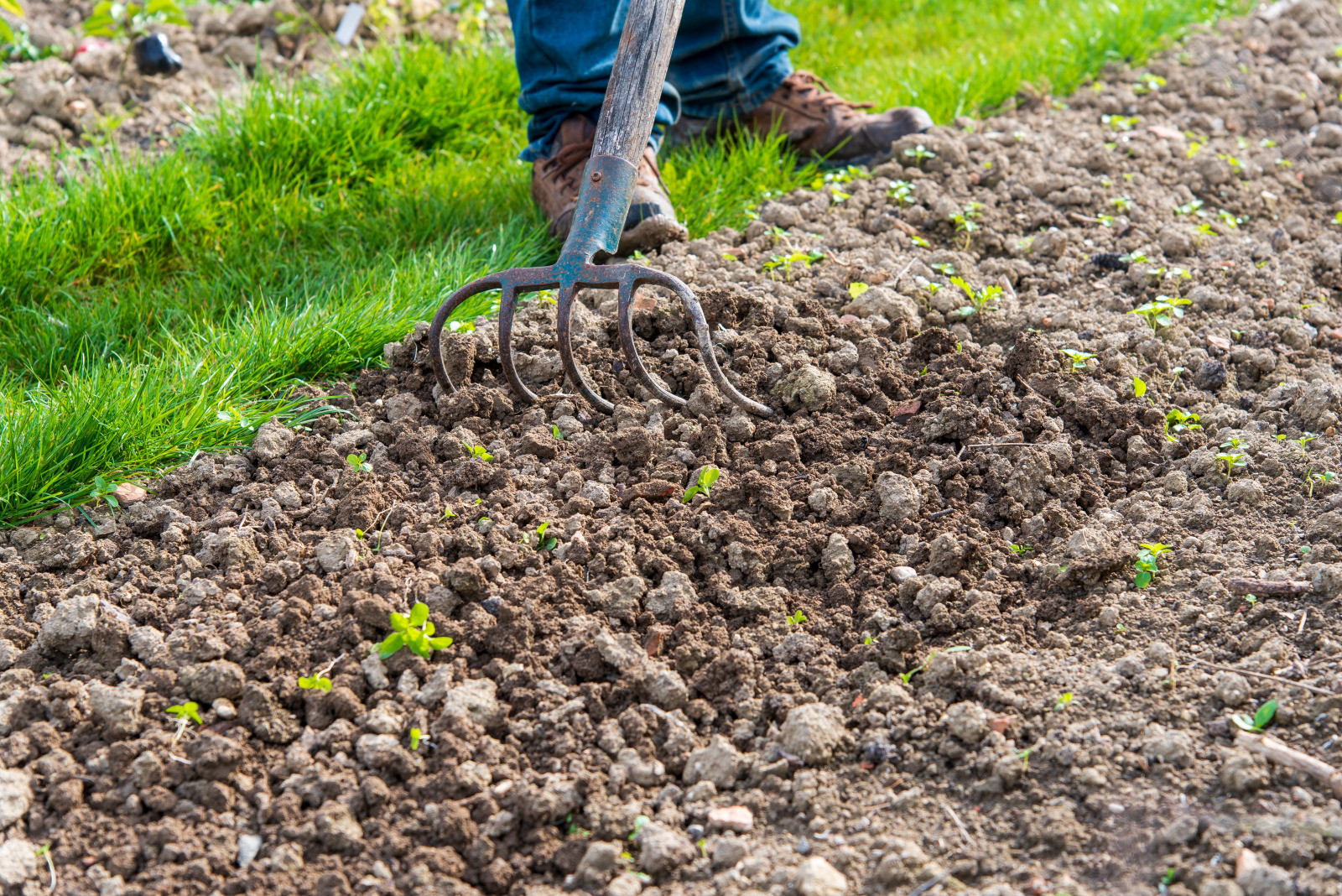 Description alternative par défaut