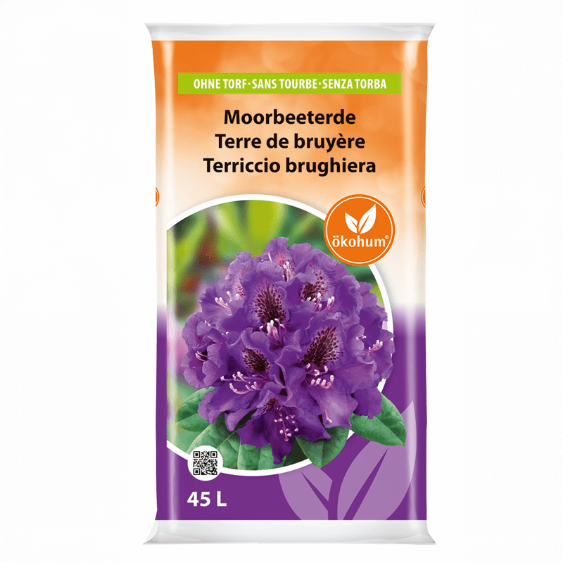 Description alternative par défaut